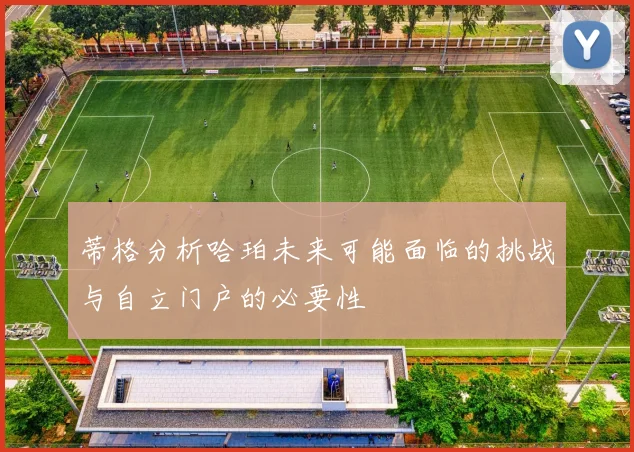 蒂格分析哈珀未来可能面临的挑战与自立门户的必要性